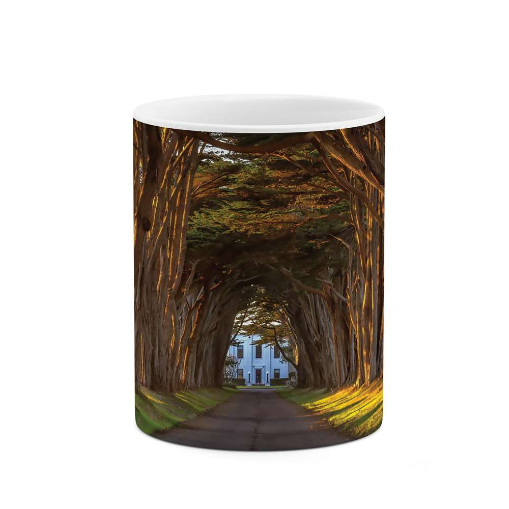 ماگ طرح جاده جنگلی مدل mgs06449