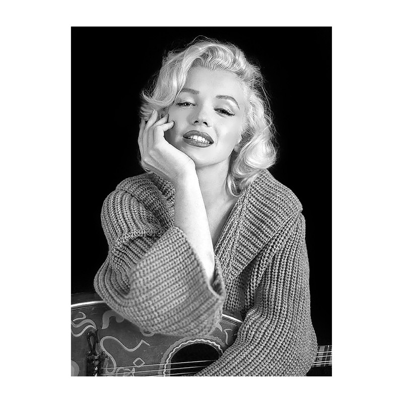 تابلو شاسی طرح مرلین مونرو مدل  01 | دنیای قاب