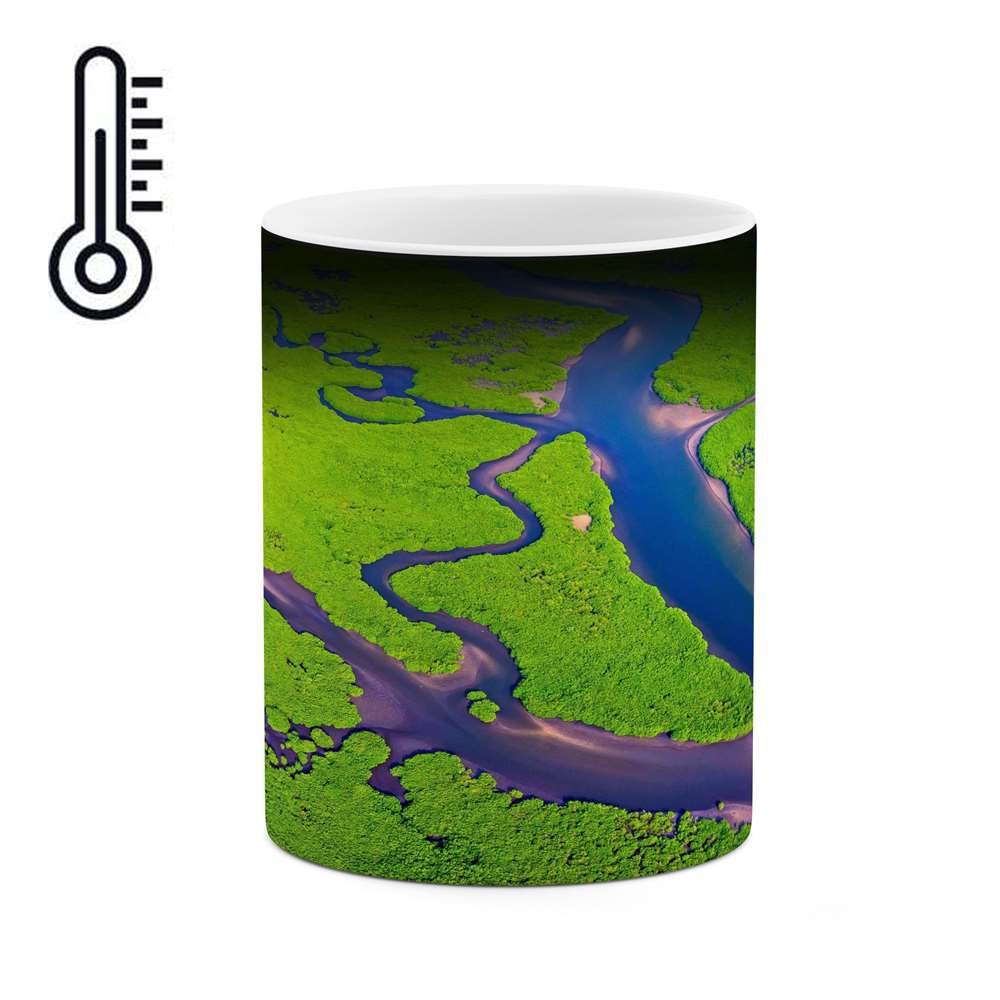 ماگ حرارتی کاکتی طرح منظره مدل mgh16639