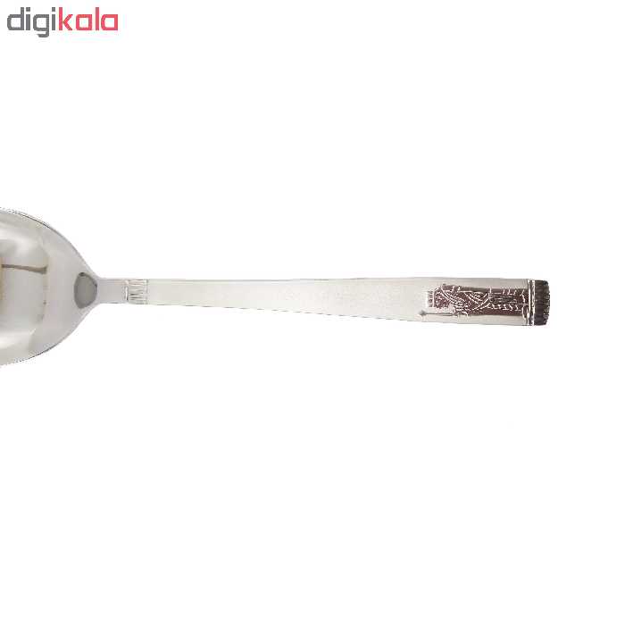 قاشق آجیل خوری نیوهوم کد 0800 طرح هخامنش