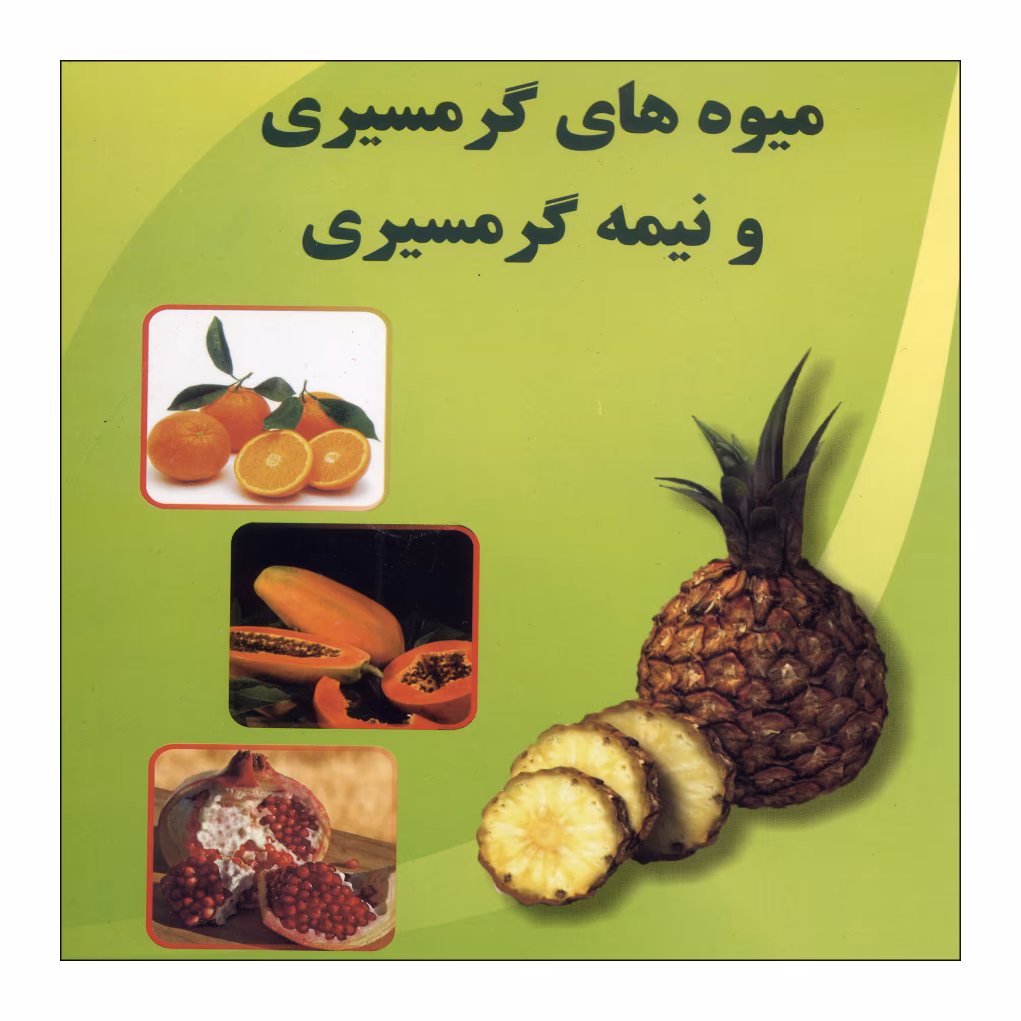 کتاب میوه های گرمسیری و نیمه گرمسیری اثر سید مهدی میری نشر علم کشاورزی