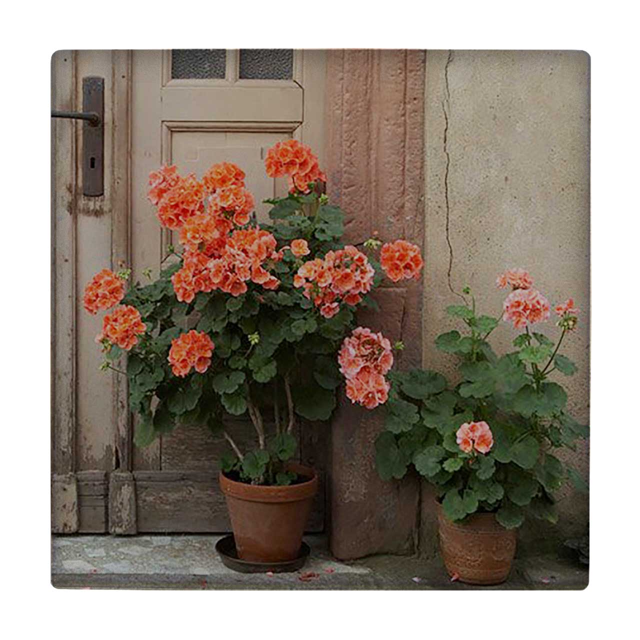 کاشی کارنیلا طرح گلدان های شمعدانی مدل لوحی کد klh664