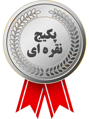 پیش پرداخت پکیج نقره ای