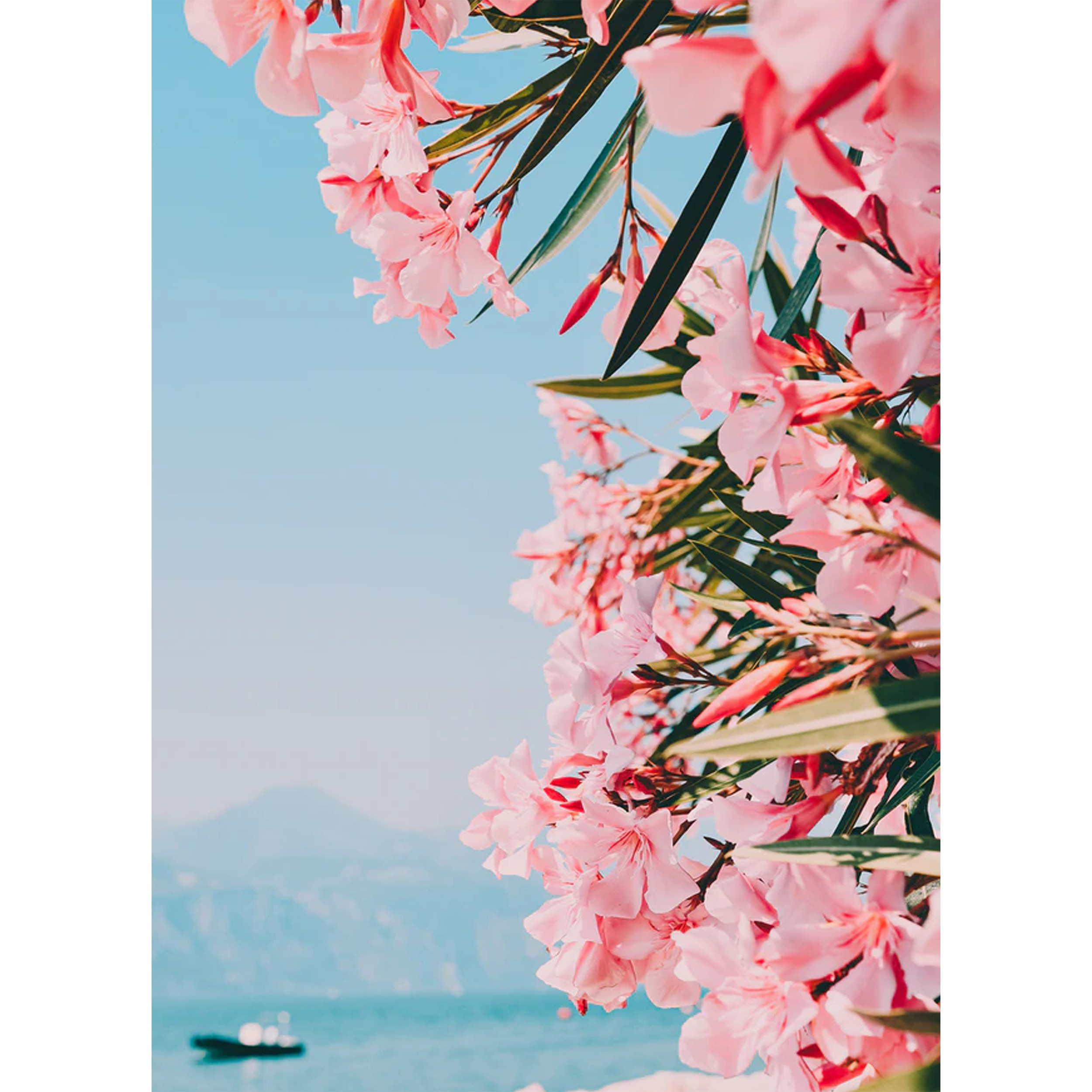 تابلو شاسی مدل شکوفه