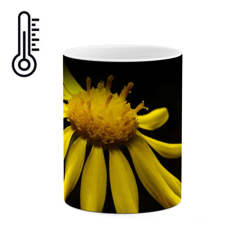 ماگ حرارتی طرح گل مدل mgh12098