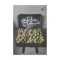 کتاب مسافر باغ سیب اثر مریم بصیری نشر سروش 