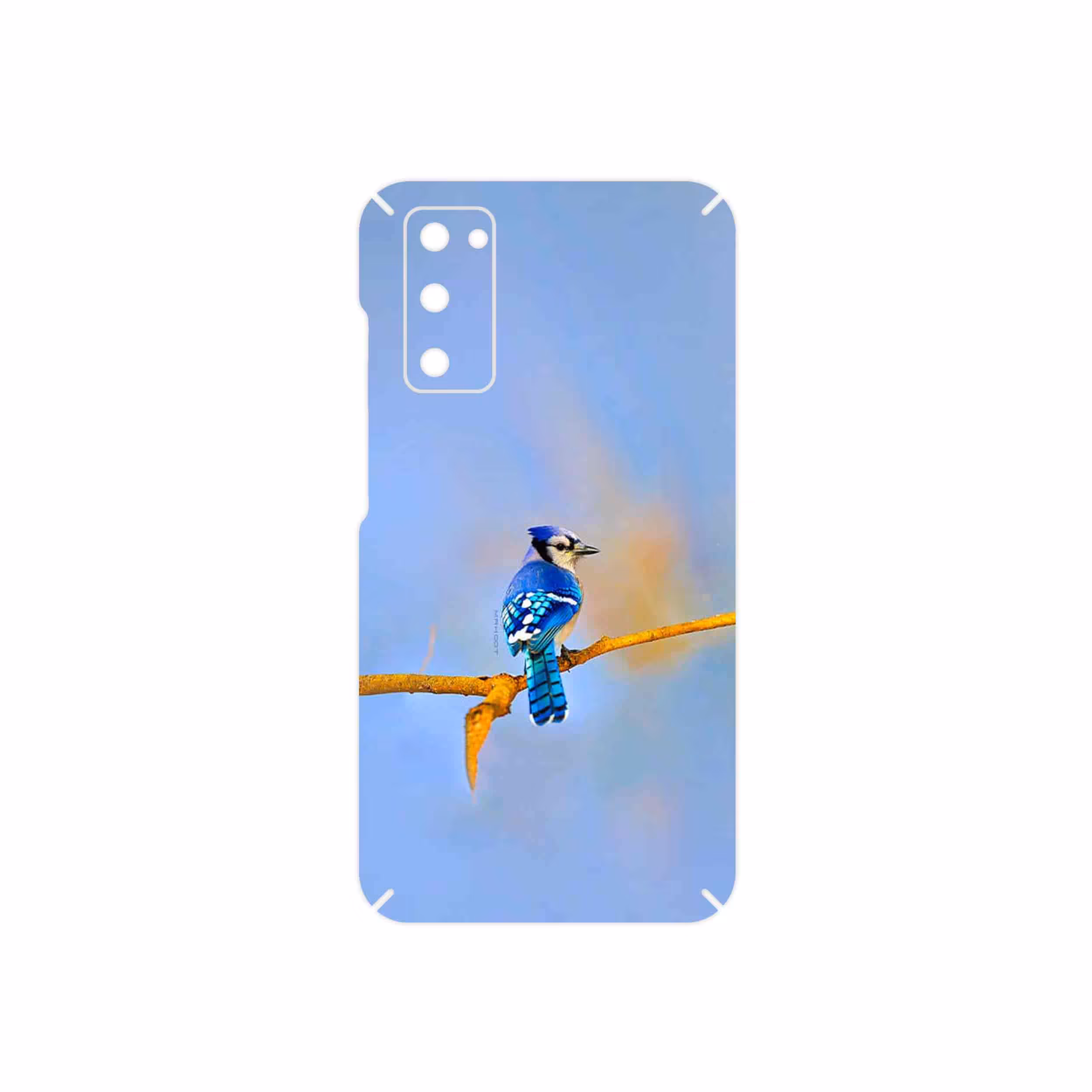 برچسب پوششی ماهوت مدل Cyanocitta cristata مناسب برای گوشی موبایل سامسونگ Galaxy S20 FE