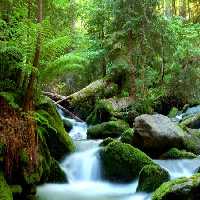 خرید و دانلود عکس Nature-Part-30 کد 36841 | پیک فاکس | Pic Fox