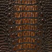 خرید و دانلود عکس ShutterStock-2014-Backgrounds &amp; Textures کد 53552 | پیک فاکس | Pic Fox