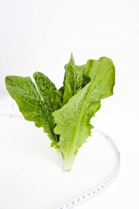 خرید و دانلود عکس IranBCS کد 30433 | پیک فاکس | Pic Fox