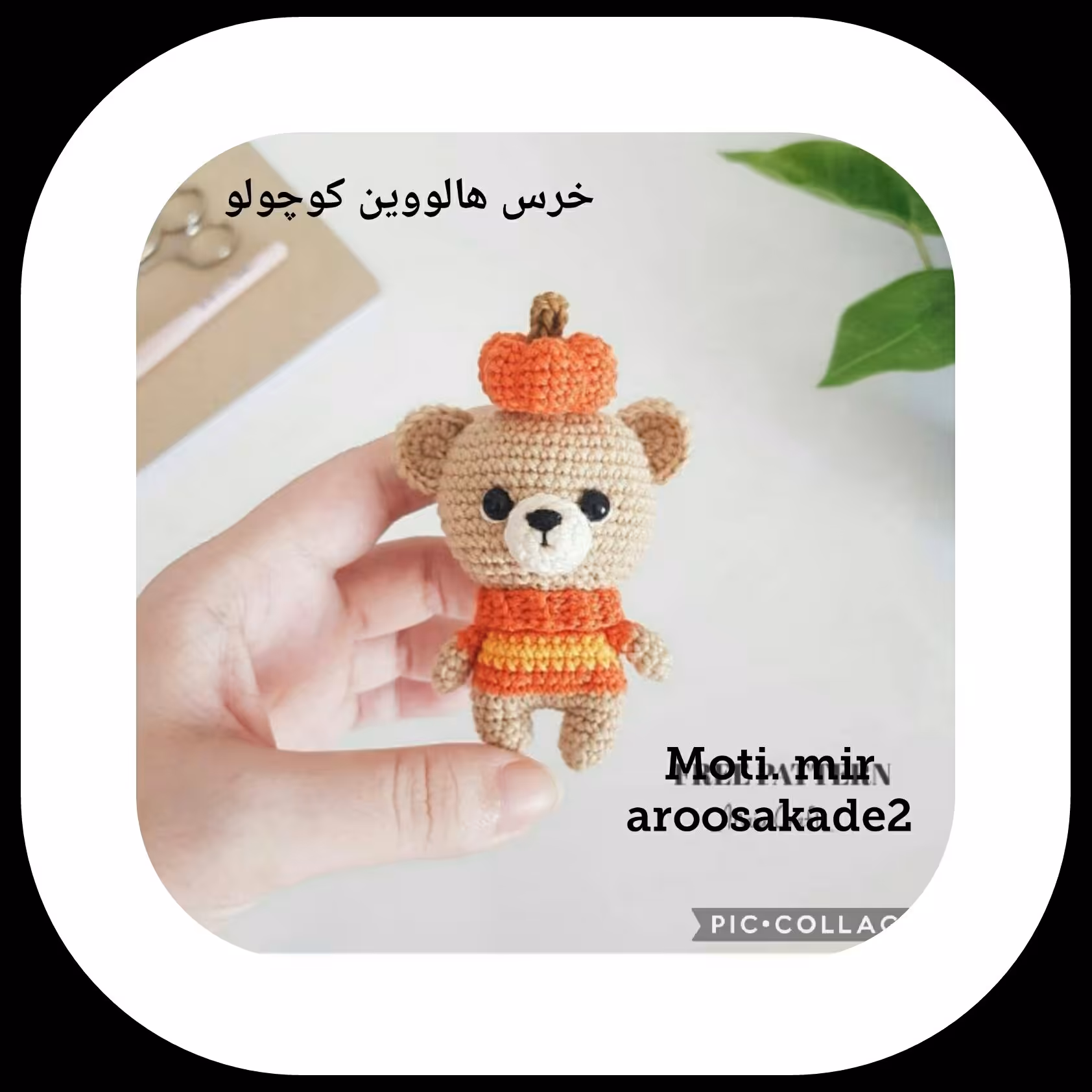 خرس هالوین کوچولو 