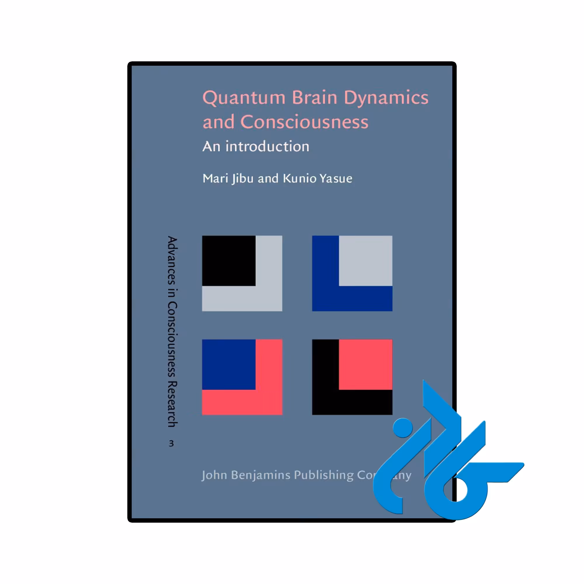کتاب Quantum Brain Dynamics and Consciousness