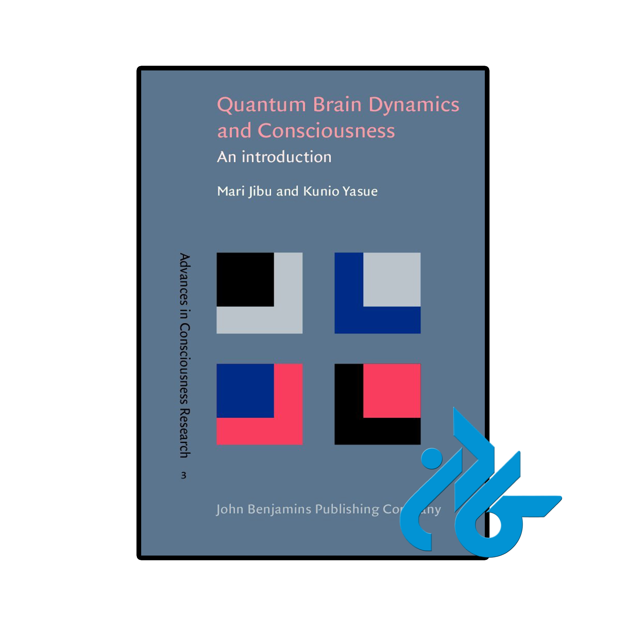کتاب Quantum Brain Dynamics and Consciousness