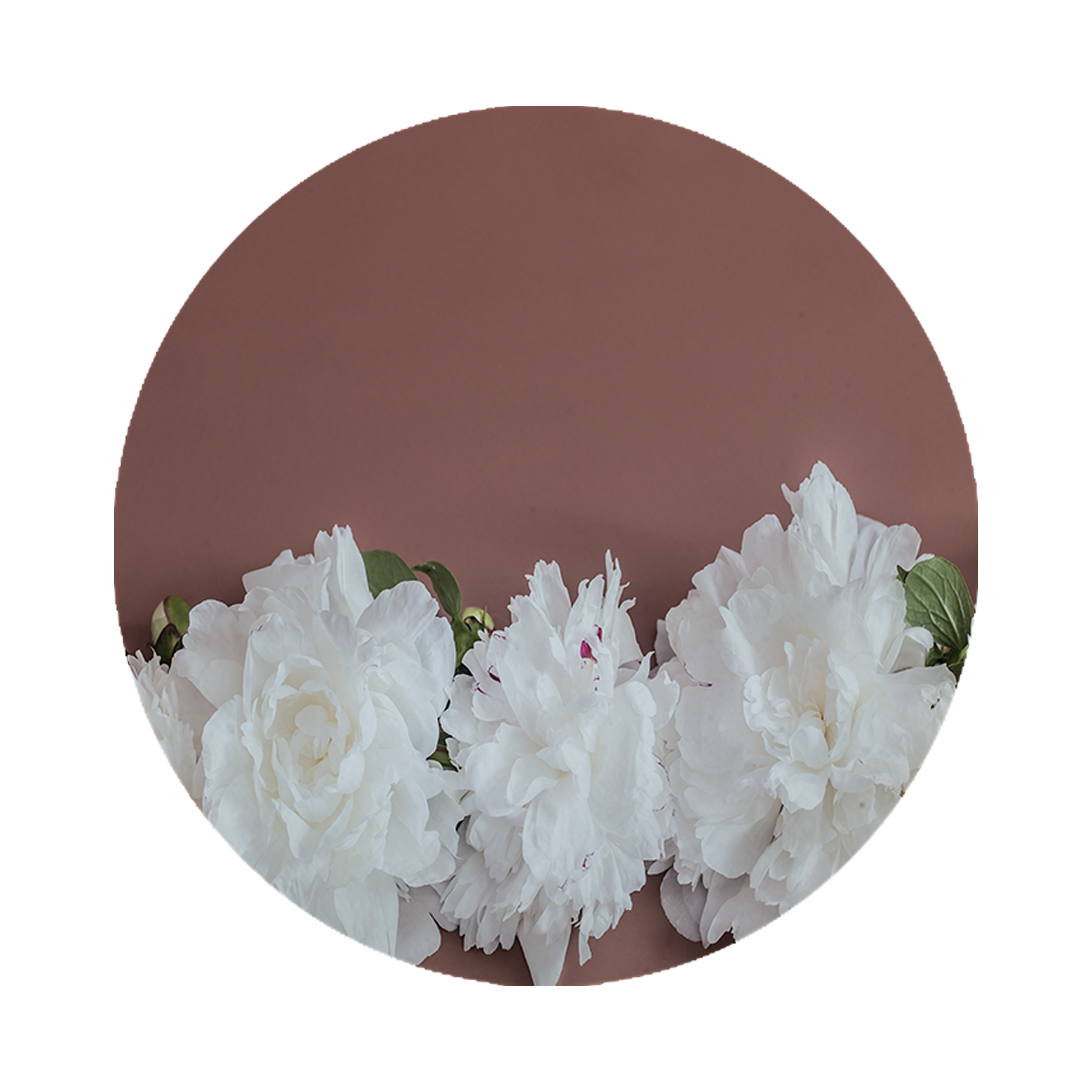 زیرقابلمه ای طرح گل 8304