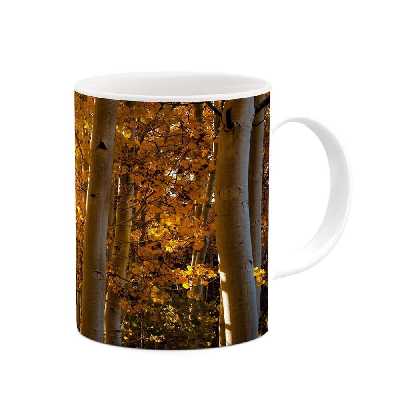 ماگ کاکتی طرح منظره پاییزی مدل mgh18595