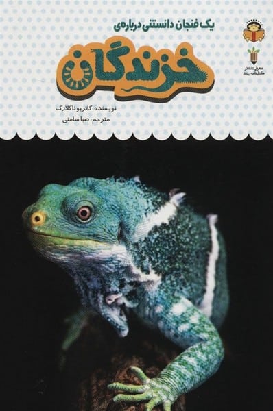 یک فنجان دانستنی (20) درباره خزندگان - کتاب‌فروشی کوچه کتاب