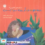 قیمت و خرید کتاب جوجه جوجه دیگر ریزه میزه نیست | ایده بوک