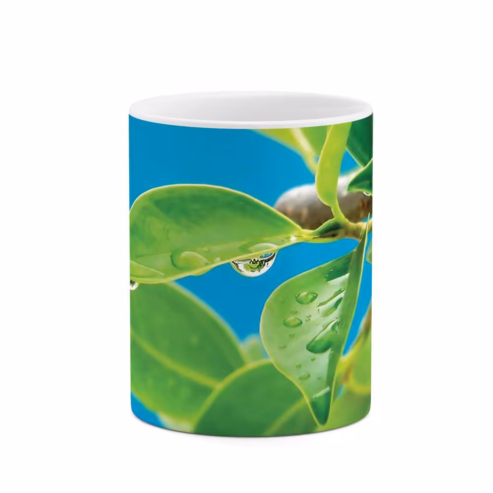 ماگ طرح برگ مدل mgs06815