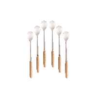 قاشق شربت خوری 6 پارچه مدل دسته چوبی