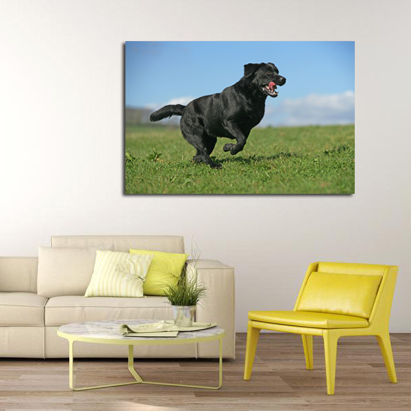 تابلو شاسی کد 5 | دنیای قاب