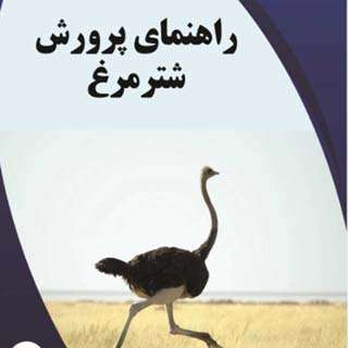 کتابpdf راهنمای کامل پرورش شترمرغ - کتابخانه مجازی واتیکان