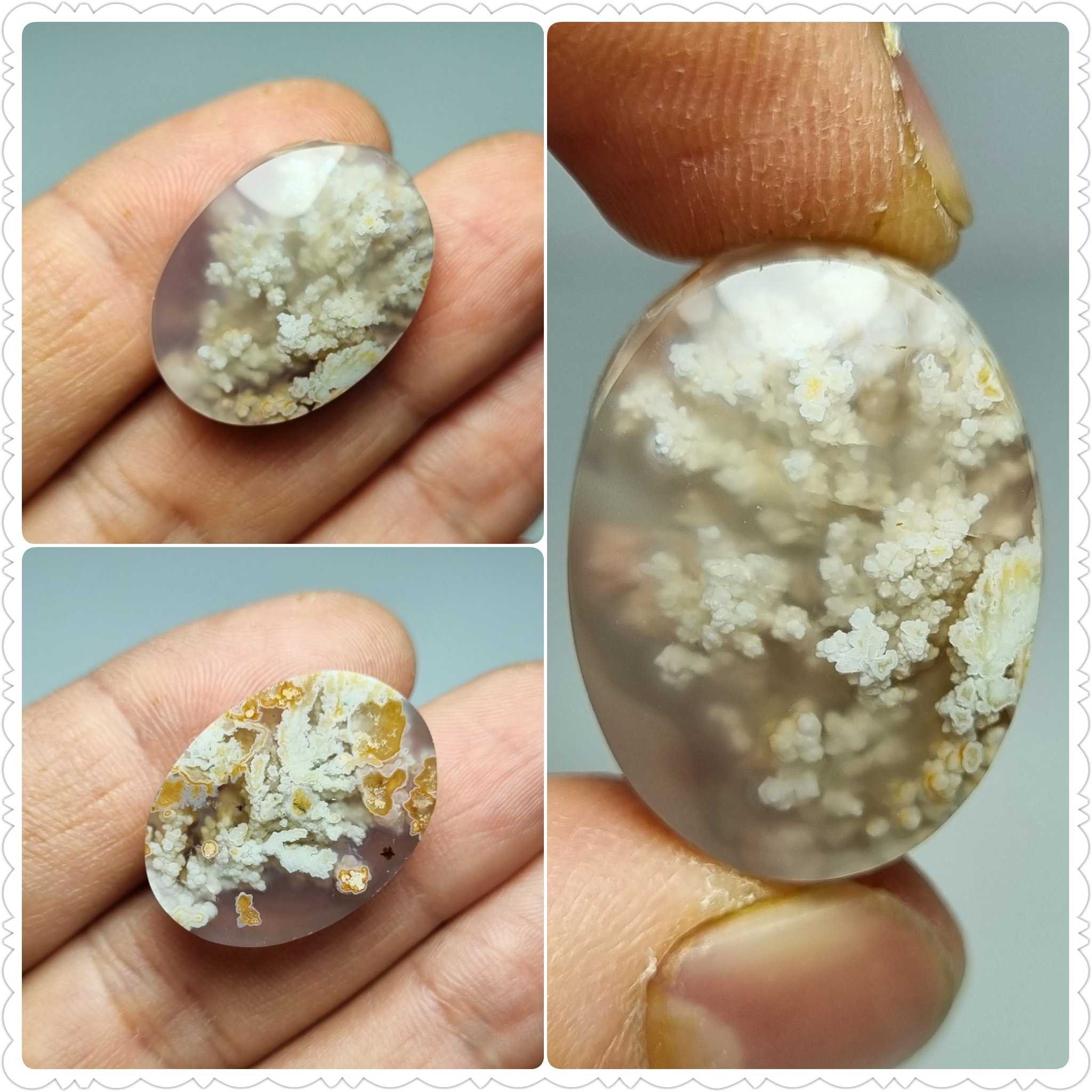 نگین شجر بهاره طبیعی و زیبا 