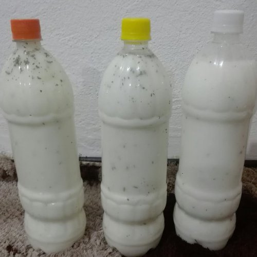 دوغ محلی ویژه تهیه شده از شیر تازه محلی با طعم سبزی های جنگلی