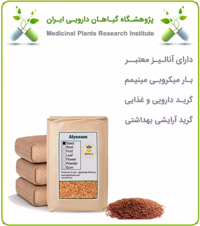 بذر قدومه خشک فله