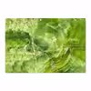 برچسب پوششی ماهوت مدل Green Crystal Marble مناسب برای تبلت مایکروسافت Surface Pro 3 2014