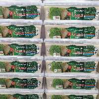 حلوا ارده 1000گرمی ممتاز مسما اردکان ( دارای بافتی نرم و بسیار لذیذ و مقوی)