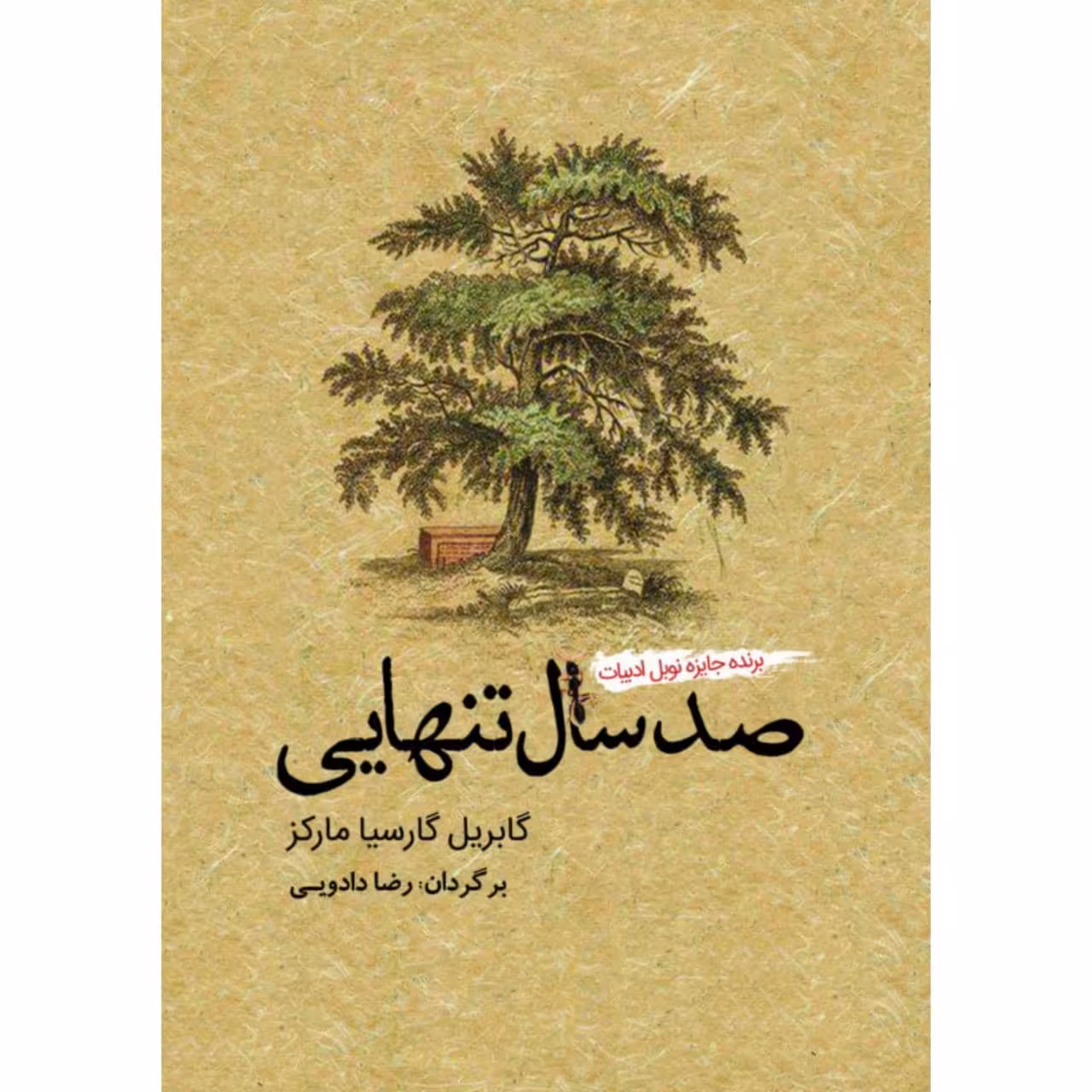 کتاب صد سال تنهایی اثر گابریل گارسیا مارکز نشر آمه