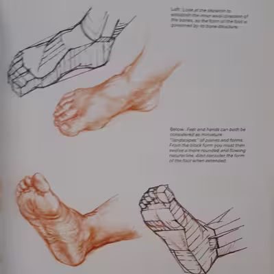 كتاب Learn to Paint and Draw اثر Paragon انتشارات Paragon