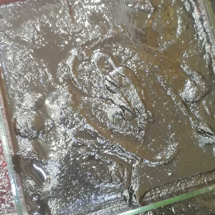  رب انارترش محلی درجه یک وزن 1کیلو گرم 