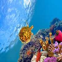 خرید و دانلود عکس Nature-Part-30 کد 36844 | پیک فاکس | Pic Fox