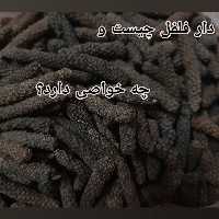 دارفلفل (فلفل دراز) 2 کیلویی (پس کرایه)
