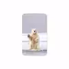 برچسب پوششی ماهوت مدل Polar bear مناسب برای تبلت سامسونگ Galaxy Tab 3 8.0 2013 T315