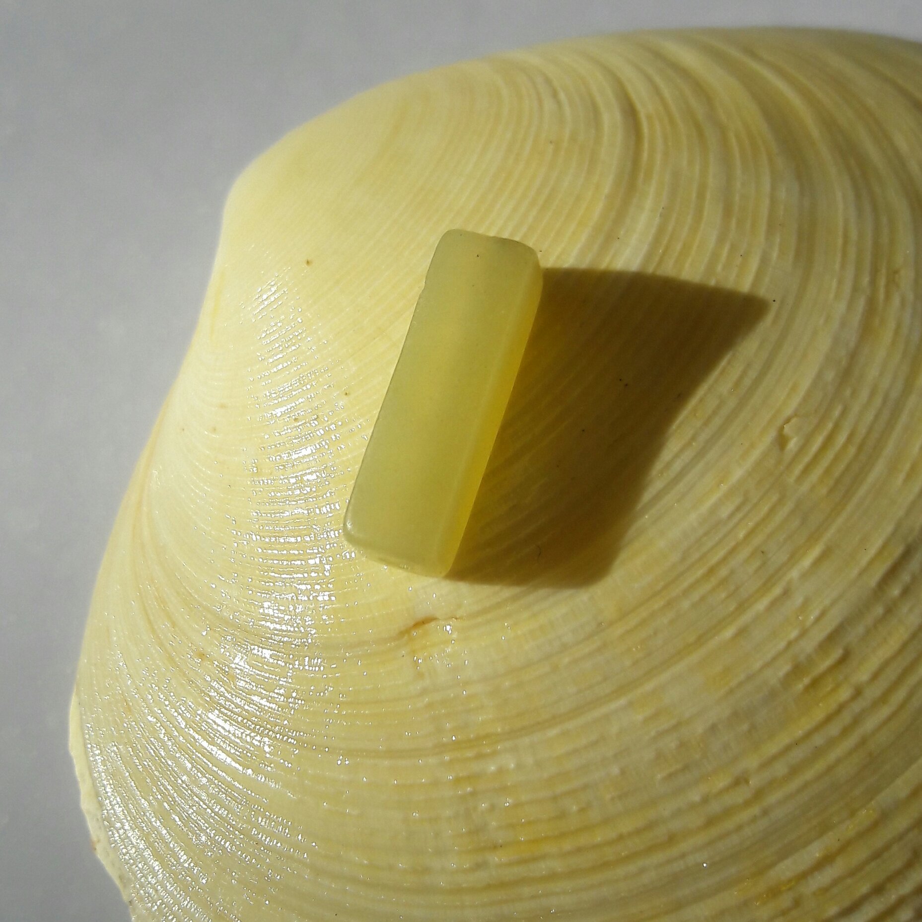 مهره یشم قدمت دار زیبا