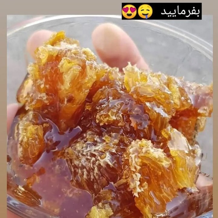 عسل کوهی درجه یک دامنه های الوند همدان