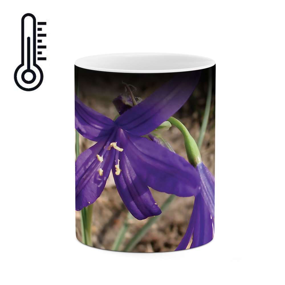 ماگ حرارتی طرح گل مدل mgh04046