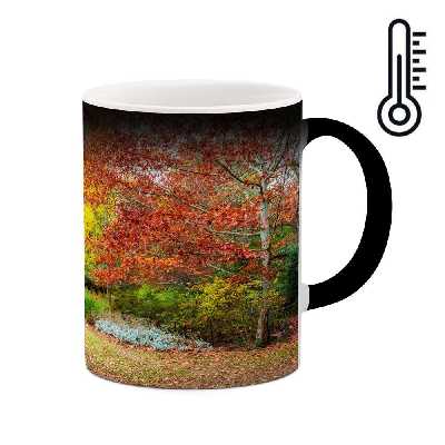 ماگ حرارتی کاکتی طرح منظره مدل mgh13128