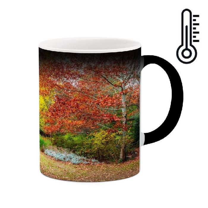 ماگ حرارتی کاکتی طرح منظره مدل mgh13128