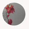 آینه مدل Sonati2