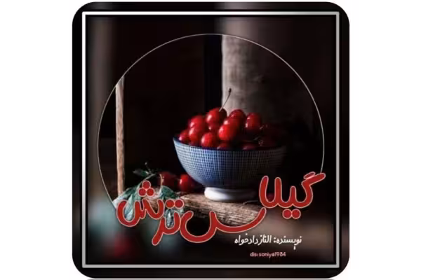 رمان گیلاس ترش PDF - کتابخانه مجازی واتیکان