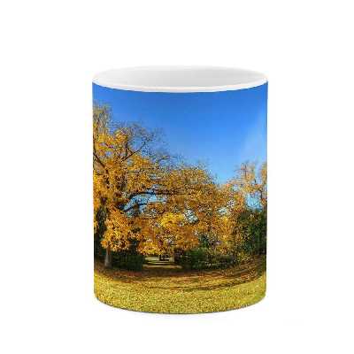 ماگ کاکتی طرح منظره مدل mgs13118