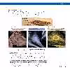 کتاب MCAT Biology Review اثر Kaplan Test Prep انتشارات Kaplan