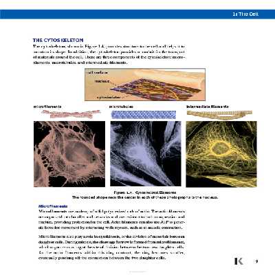 کتاب MCAT Biology Review اثر Kaplan Test Prep انتشارات Kaplan