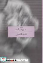 قیمت و خرید کتاب سور شبانه اثر ناهید طباطبایی | ایده بوک
