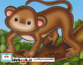 قیمت و خرید کتاب میمون اثر شهره یوسفی | ایده بوک