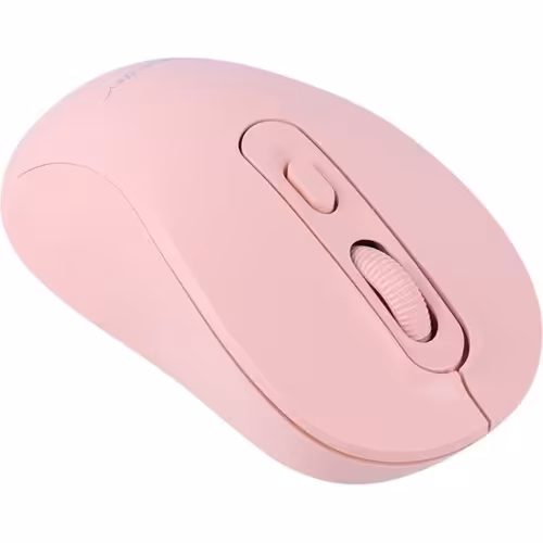 موس بیسیم DataLife M273