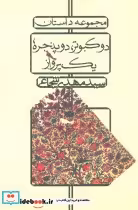 قیمت و خرید کتاب دو کبوتر دو پنجره یک پرواز | ایده بوک